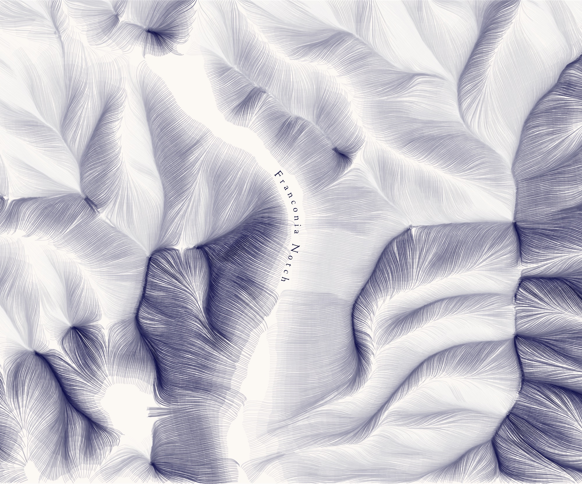 A flowing, feathery terrain map of Franconia Notch, New Hampshire